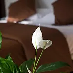 La Sequia Molinar ホテル
