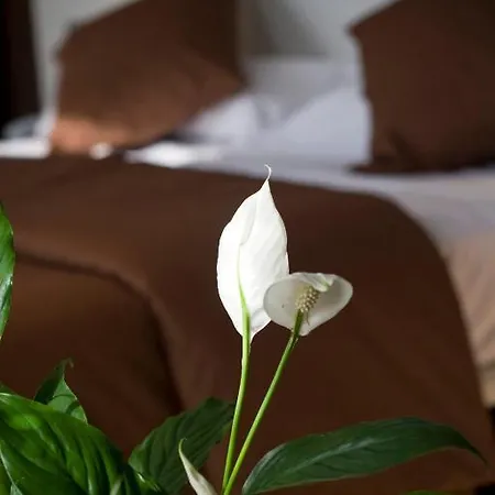 La Sequia Molinar Hotel